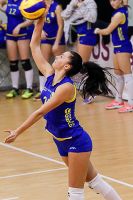 201503_U18_FinPROV_RattiBattuta